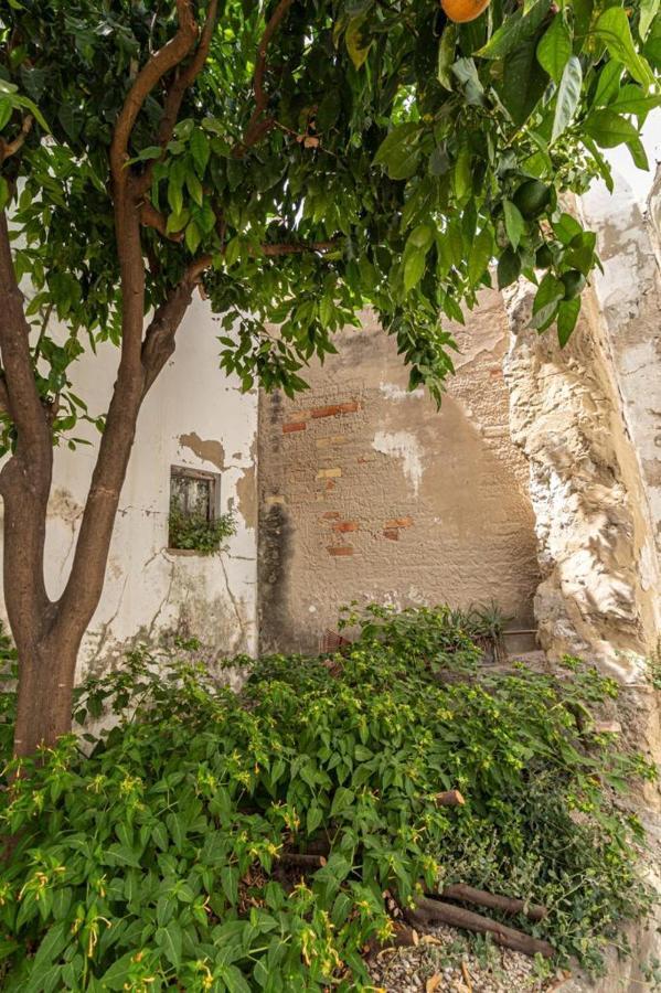 La Casa De Los Arcos - Casco Historico - Parking Opcional Jerez de la Frontera Exterior foto